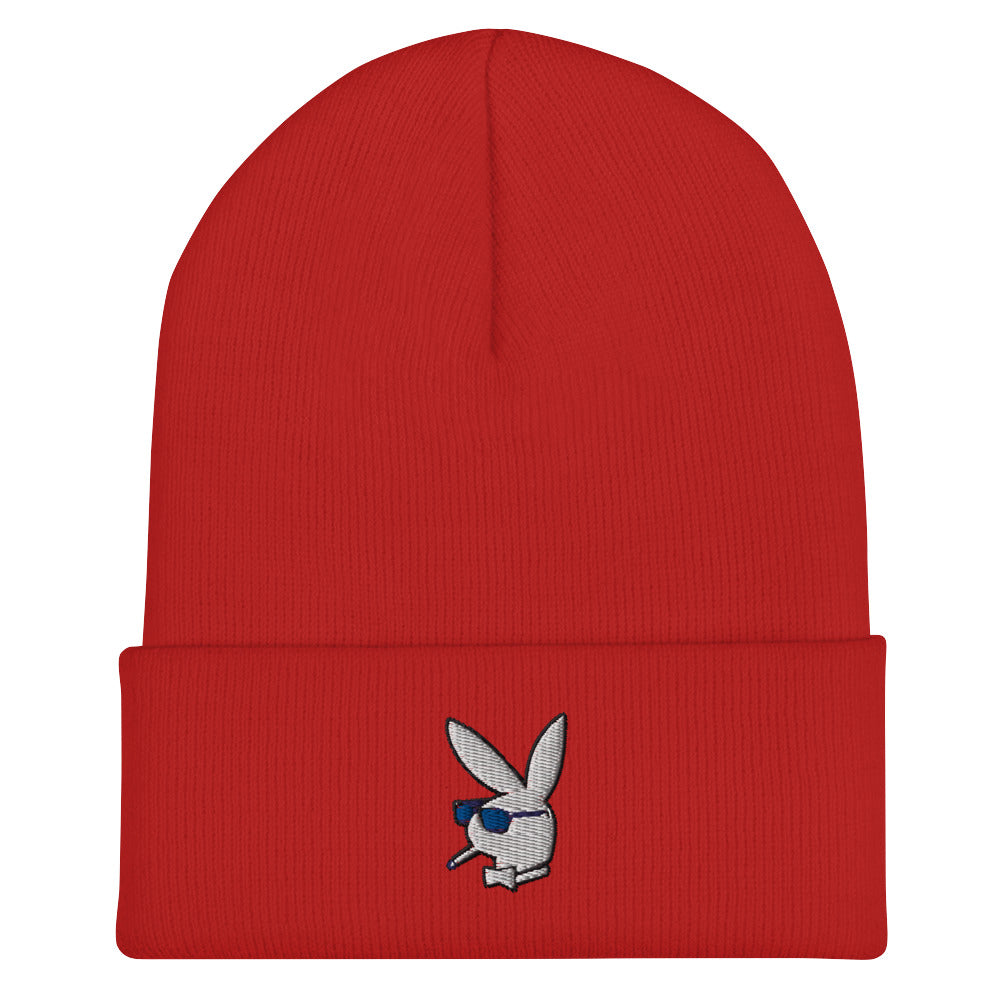 Dagzxtica Cuffed Beanie
