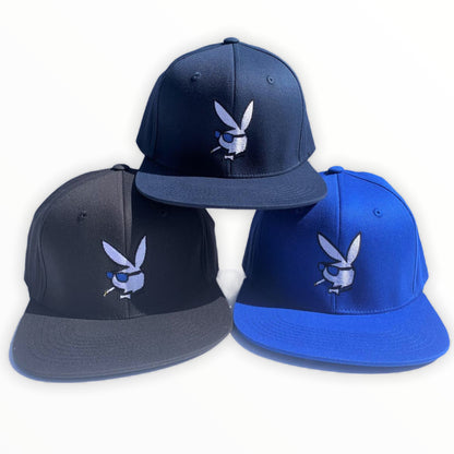 Fitted Cap Snapback Hat