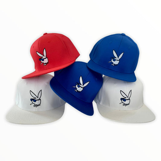 Fitted Cap Snapback Hat