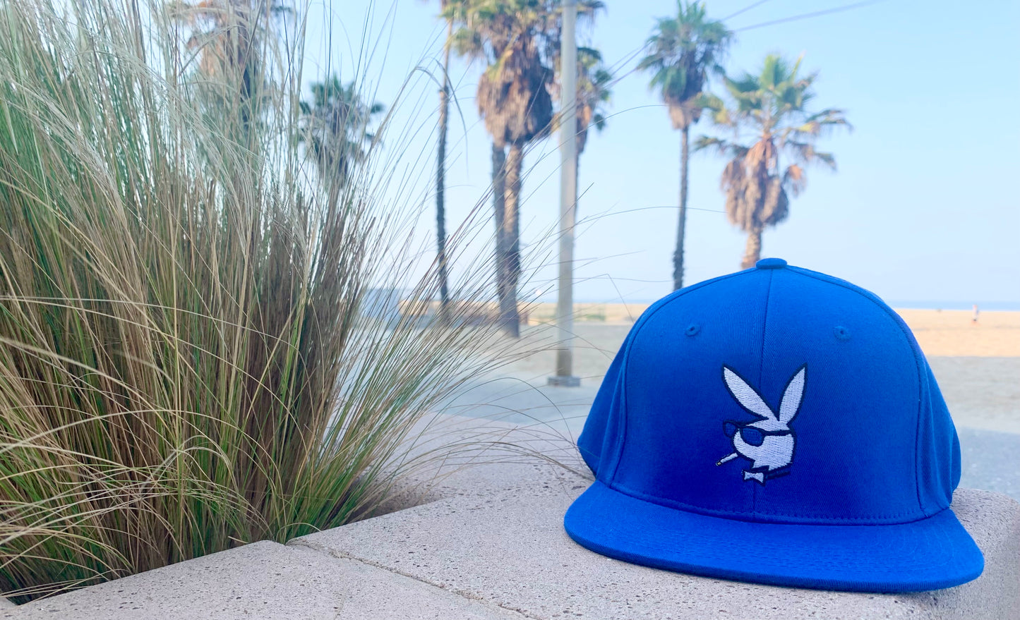 Fitted Cap Snapback Hat