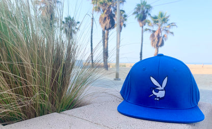 Fitted Cap Snapback Hat