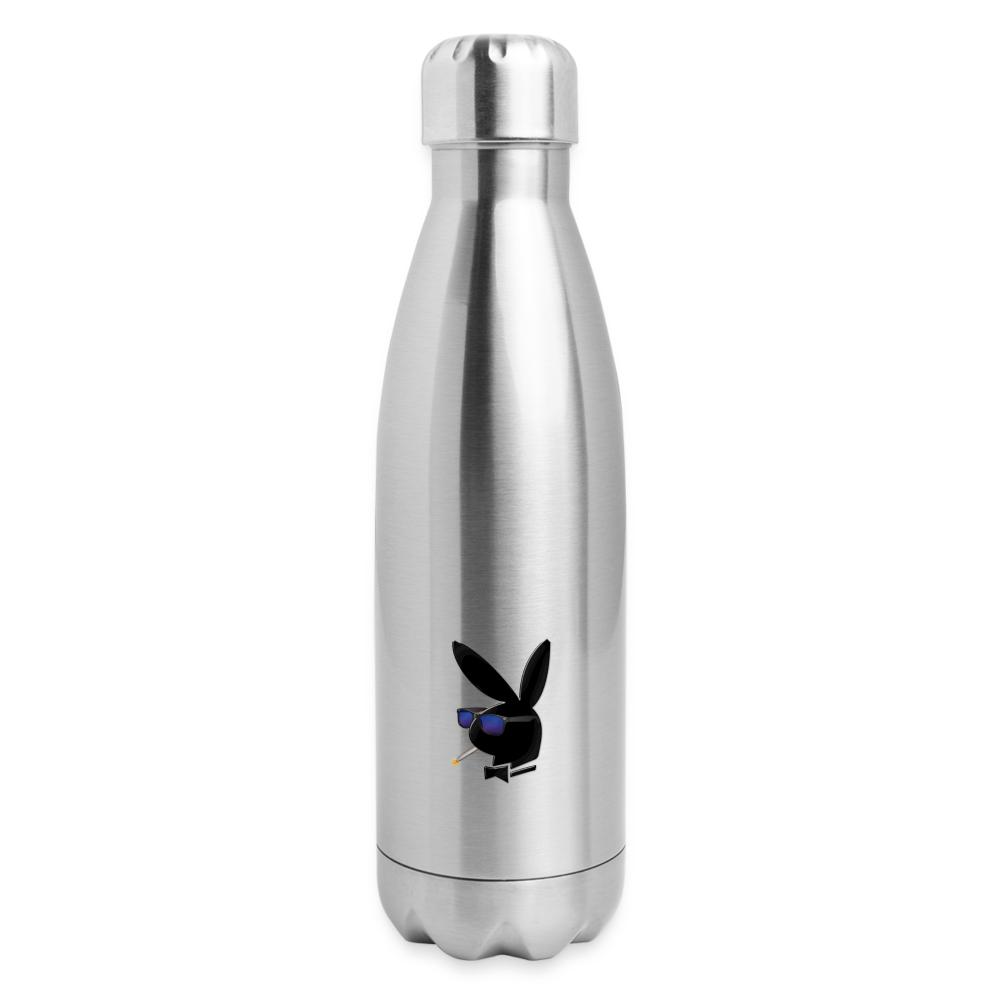 Insulated Stainless Steel Water Bottle - silver